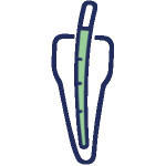 مواد اندو دندانپزشکی